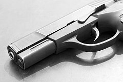 Gun