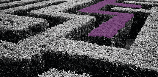 Maze